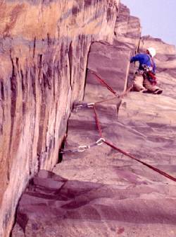 Last pitch of Cockroach Cluster, 5.8