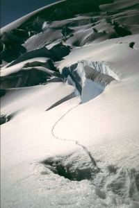 Fresh crevasses, photo: M.Waldh�r